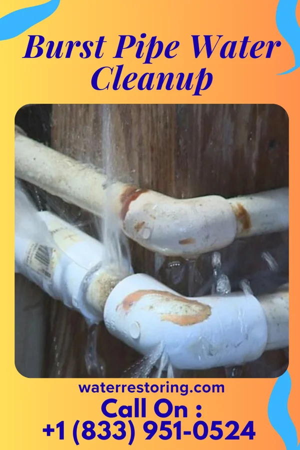 Burst Pipe Water Cleanup in Garvin, MN