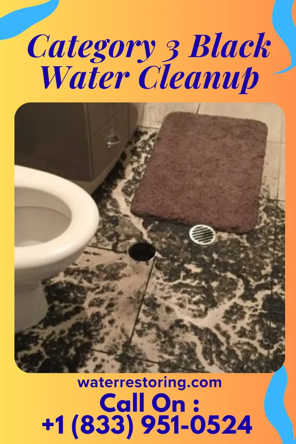 Category 3 Black Water Cleanup in Garvin, MN