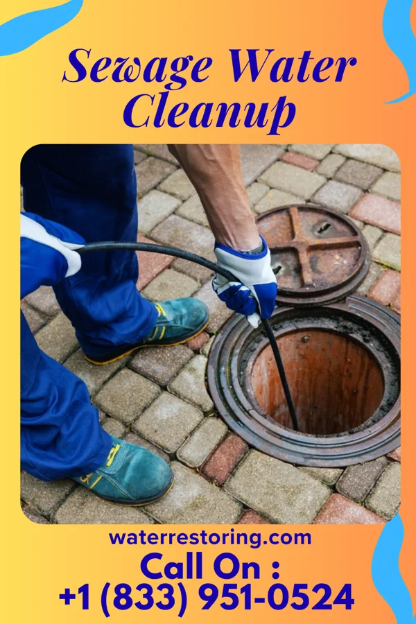 Sewage Water Cleanup in Garvin, MN